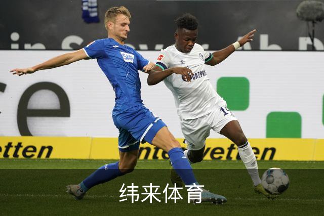 纬来体育公司简介